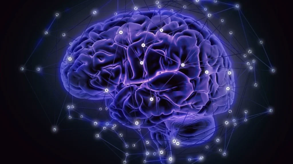 graphic of a brain with circuits around it