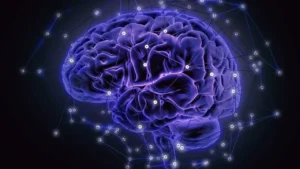 graphic of a brain with circuits around it